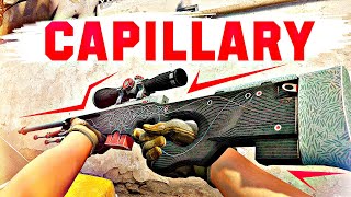 CSGO SKINS  AWP  Capillary Gameplay [upl. by Faith638]