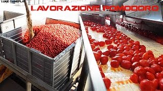 VirtualTour Lavorazione Pomodoro in Industria  Processing Tomato Industry [upl. by Yojal]