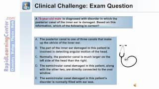 Somatic Nervous System and Special Senses  4 of 5 [upl. by Dranreb]