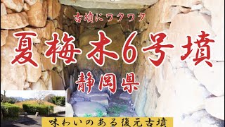 草茫々に埋もれた石室でしたが、なかなか見応えのある石室です。夏梅木６号墳■（三島市）（静岡県）（後期）Natsumegi No6 TumulusShizuoka Pref [upl. by Nehpets]