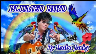 【 Plumed bird 】高中正義 虹伝説 guitar covered by Inaba jacky Shorts [upl. by Denzil]