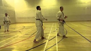 Steve Ubl  Tekki Shodan Bunkai [upl. by Norabel]