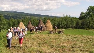 Walking Holiday in Romania [upl. by Aneehta]