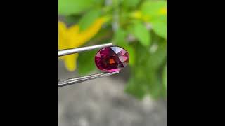 365 carats  Oval Shaped Rhodolite Garnet  Malawi Gemstone viral gemstone shorts [upl. by Yenduhc]