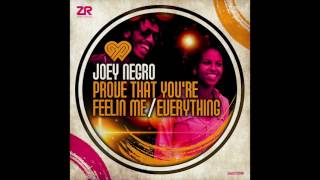 Joey Negro  Everything feat Lifford [upl. by Beedon]