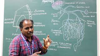 Pericardium Mediastinum and Portal Circulation [upl. by Nolahc]