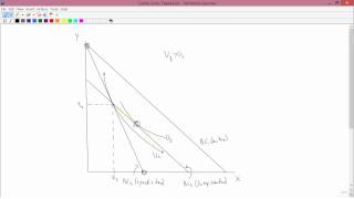 Intermediate Microeconomics Lump Sum Taxes Part 4 [upl. by Philbert]