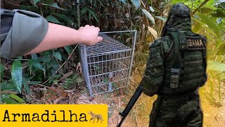 ENCONTREI UMA ARMADILHA DE CAÇA NO MEU SÍTIO [upl. by Combes304]