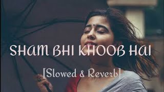 Shaam Bhi Khoob Hai lofi song Karz  Udit Narayan  Slowed  Reverb  RitikAUDIOS cblofistudio [upl. by Toblat]