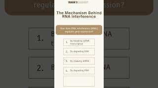 Biology MCQ How does RNA interference RNAi regulate gene expression Diarasacademy [upl. by Oirazan]