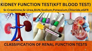 KFTRFT BLOOD REPORTKIDNEY FUNCTION TEST USES INDICATIONKFT REPORT HOW TO READ EASILY [upl. by Ennoval]