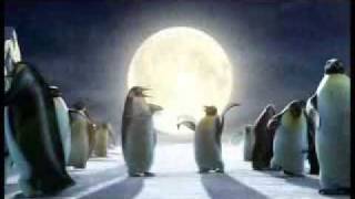 Comercial da Coca cola com urso e pinguins [upl. by Sheppard921]