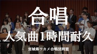 【作業用BGM】合唱人気曲まとめ歌詞付きメドレー1時間耐久定番曲 presented by ワカメ合唱団同盟 （Meet Up Chorus Fesより） [upl. by Kirby]