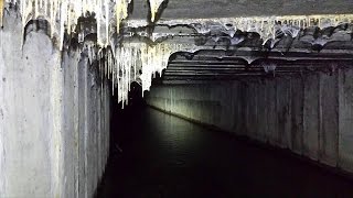 » GEOCACHING «  Knietief im Dreck und überall Spinnen  12  Deutsch HD MOONDYE7 [upl. by Laing]