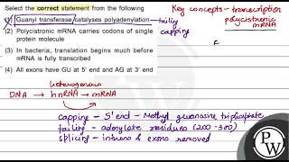 Select the correct statement from the following 1 Guanyl transferase catalyses polyadenylation [upl. by Eetnom]