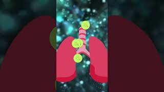 Easy Tricks for Inhalation and Exhalation Mechanism  biology shorts [upl. by Artcele]