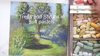 Trees and shrubs  Pastel painting course [upl. by Susej]