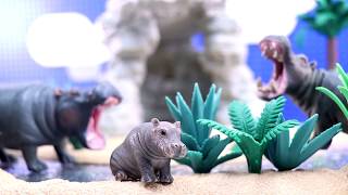 Baby Hippo Song for kids  Hippopotamus Song Schleich Waterhole toys [upl. by Twyla]