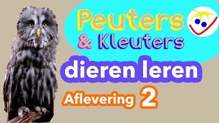 Dierennamen  Eerste Woordjes  Dieren Leren Aflevering 2 Peuters en Kleuters [upl. by Naeloj778]