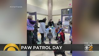 Animal Friends welcomes children for Paw Patrol Day [upl. by Cosetta636]