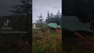 Tree tent camping in the Tentsile Connect 30 A wild night camping wildcamping treetent [upl. by Wendelina]