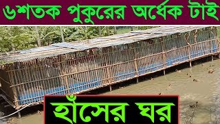 চাকরি ছেড়ে এসে যে ভাবে তৈরী করলেন হাঁসর ঘর । ৬ শতক পুকুরের অর্ধেকটাই হাসের ঘর । Duck Farming [upl. by Codi]