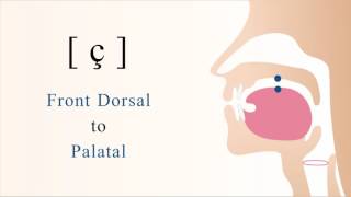 ç  unvoiced dorsal palatal non sibilant fricative [upl. by Elvah]