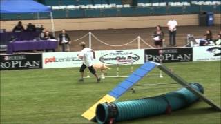 Purina Pro Plan Incredible Dog Challenge June 9 2012 [upl. by Gildus]