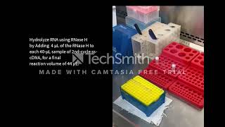 Sample preparation for Affymetrix GeneChip Clariom D Microarray [upl. by Ahras]