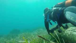 GoPro Baptême de plongée en méditerranée à Carqueiranne Var [upl. by Nae]