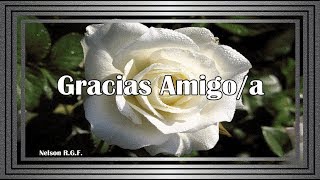 Gracias Amigoa [upl. by Ruffin649]