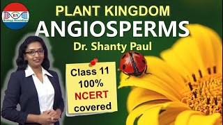 Angiosperms  Plant kingdom [upl. by Eniawd859]