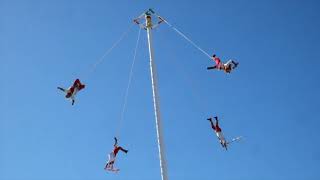 The ceremony of the Voladores de Papantla is for water [upl. by Bedwell]