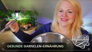 DIYFutter amp Industrieprodukte für Garnelen – Was ist wirklich sinnvoll 🌿🥫🏭🦐🤔  Aquarinas Erfahrung [upl. by Anolahs]