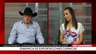 Dinámica de exportaciones cárnicas [upl. by Dyche]