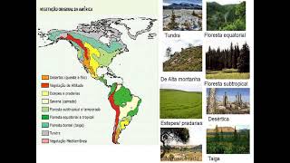 Regionalização do continente americano [upl. by Russon]