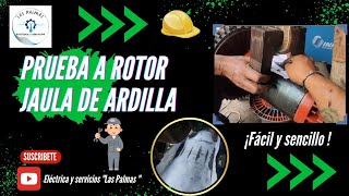 Cómo probar un rotor jaula de ardilla👨🏽‍🔧motor reels viral electric bobina prueba fyp tools [upl. by Bubalo]