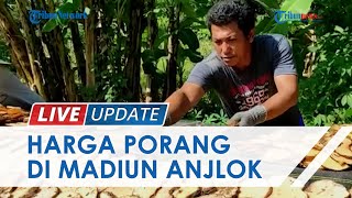 Petani Menjerit Rugi Harga Umbi Porang Basah dan Kering di Madiun Anjlok Drastis 2 Tahun Terakhir [upl. by Porter]