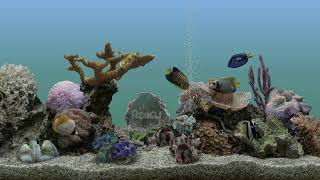 Roku screensaver Aquatic Life [upl. by Duaner]