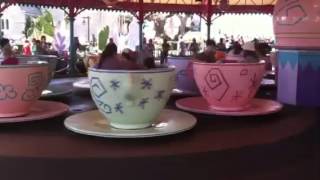 Disney World Teacups 2013 [upl. by Itsa]