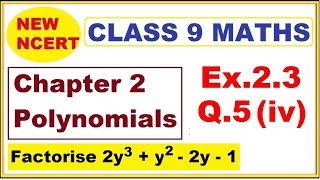 Class 9 Maths  Ex23 Q5 iv  Chapter 2  Polynomials  New NCERT  Ranveer Maths 9 [upl. by Yolanda]