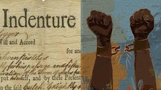 The Rise of Slavery Replacing Indentured Servitude in Colonial America [upl. by Han200]