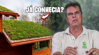 DICAS e TUDO SOBRE o PLANTIO de TELHADO VERDE [upl. by Anivid]