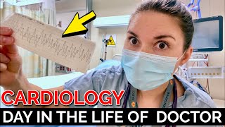 DAY IN THE LIFE OF A DOCTOR CARDIOLOGY [upl. by Thilde]