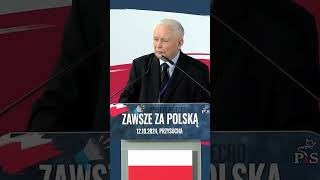 Kadencja polityka sejm konfederacja tusk mentzen bosak [upl. by Arrik]