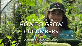 How to Grow Cucumbers from seed to harvest [upl. by Gravante]