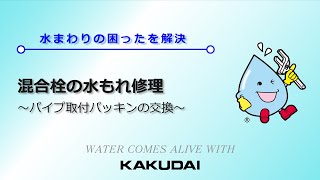 混合栓の水もれ修理～パイプ取付パッキンの交換～｜カクダイ [upl. by Harvison300]