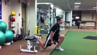 DUMBBELL SINGLE LEG SQUAT [upl. by Popelka]