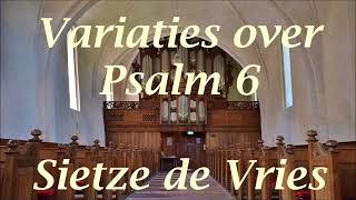 Sietze de Vries  Psalm 6  Hanno Bosch orgel Protestantse Kerk Eenrum [upl. by Annayrb650]