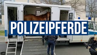 16042021 Berlin Einzige Reiterstaffel der Bundespolizei im Einsatz bei Demo im Regierungsviertel [upl. by Sansbury]